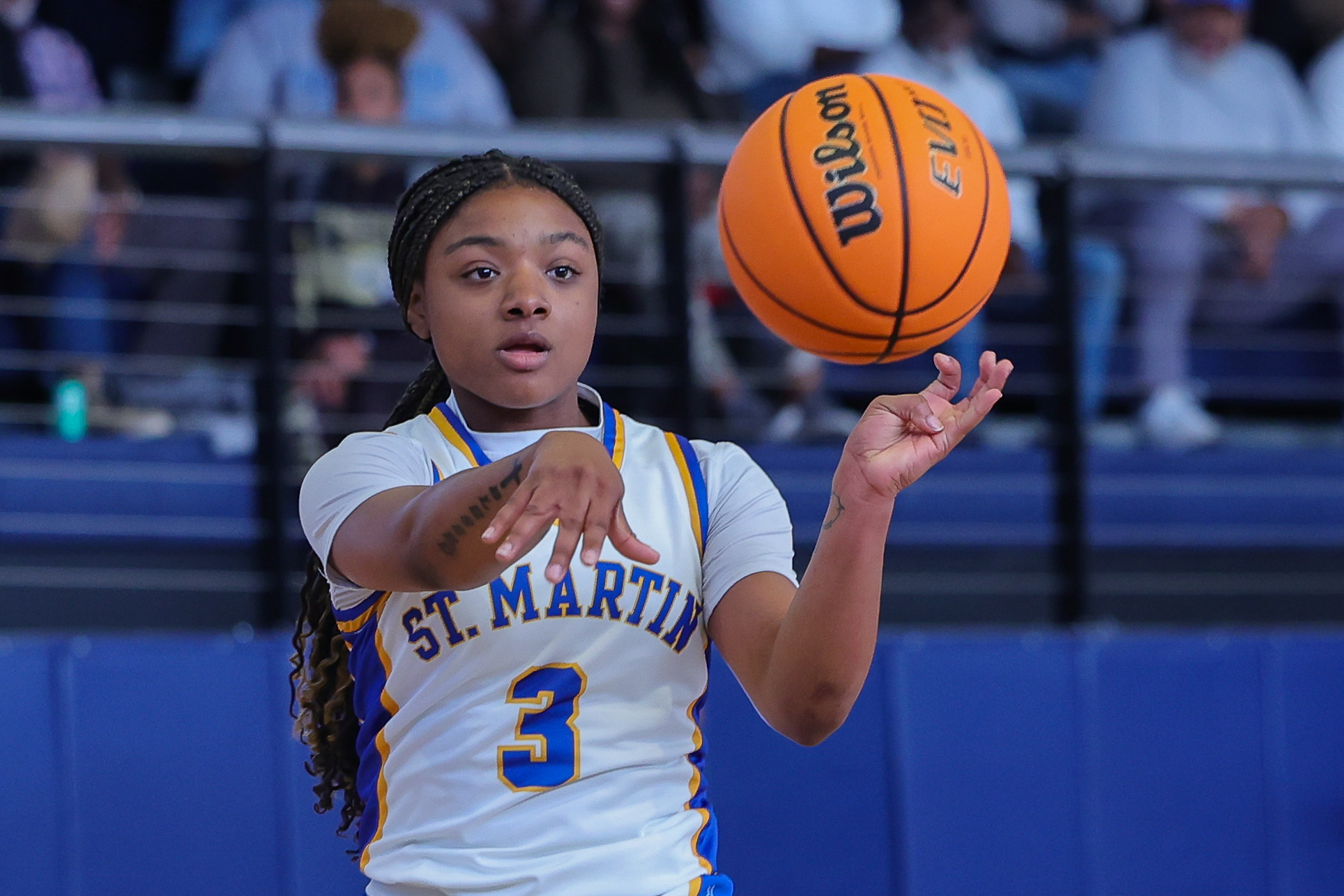 Prep Hoops: St. Martin girls are carrying a load of history with them from Jackson County to Jackson