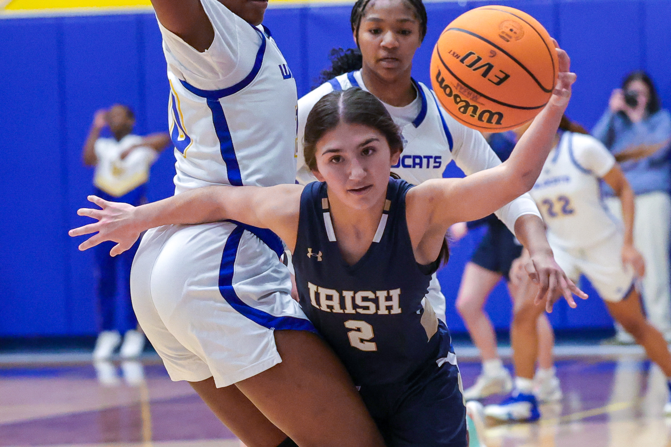 Prep Basketball: Season ends for Lady Irish Thursday night in Raymond