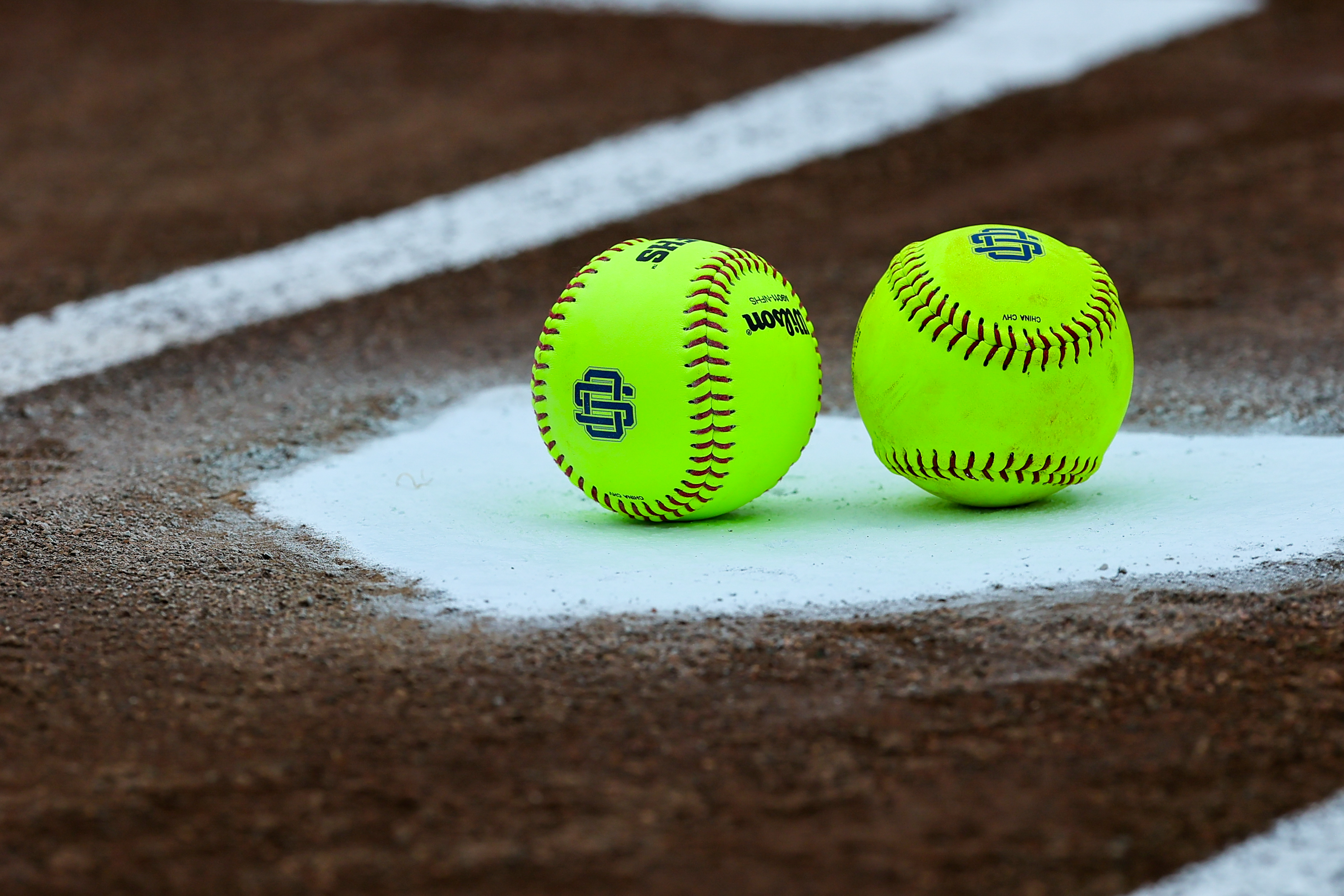 Prep Softball: Lady Greyhounds facing Hernando to open Class 7A state title series Wednesday